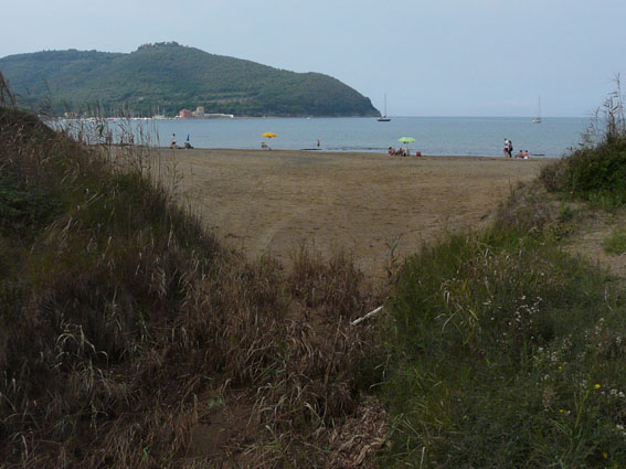 I fossi e lo stagno di Baratti (Piombino - LI)